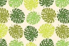 Exotic leaf. Summer mood. Product Image 8
