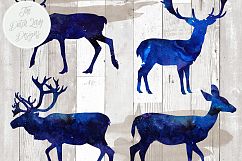 Deer, Reindeer &amp; Moose Clipart Set Product Image 5