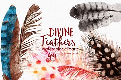 Feathers Watercolor Illustrations Product Image 2