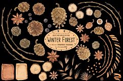 Winter Forest Product Image 3