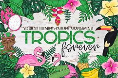 Tropics forever! Vector set Product Image 1