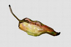 Red pepper vegetables PNG watercolor set Product Image 8