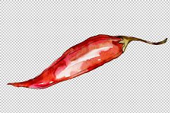 Green and yellow pepper vegetables PNG watercolor set Product Image 3