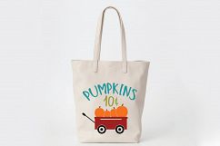 Pumpkins SVG - Fall SVG Cut File - DXF EPS PNG JPG PDF AI Product Image 7