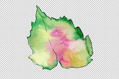 Tropical pink gardenia PNG watercolor flower set Product Image 3