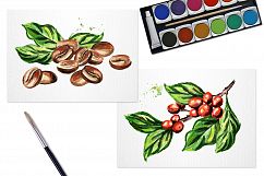 Coffee bean. Watercolor collection Product Image 7