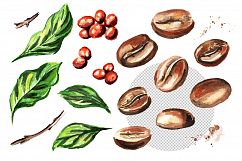 Coffee bean. Watercolor collection Product Image 2