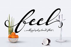 Feel Script Product Image 1