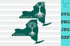State Roots-All 50 States Product Image 11