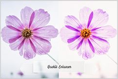 Incredible Flowers Profiles LR7.3 ACR10.3 Product Image 4
