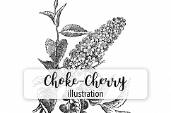 Choke Cherry Plant - Vintage Florals Product Image 1