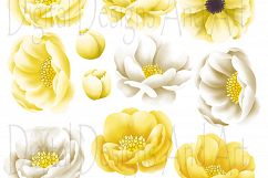 Queen bee clipart Product Image 3