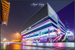 Night and Low Light LUTs Product Image 2