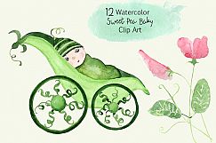 12 Watercolor Sweet Pea Baby ClipArt Product Image 1