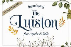 The Luiston San Serif Product Image 13