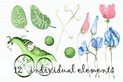 12 Watercolor Sweet Pea Baby ClipArt Product Image 2