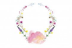 Wild Flowers watercolor PNG set Product Image 8