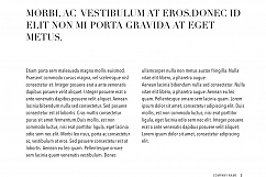 Publisher PowerPoint Template Product Image 4