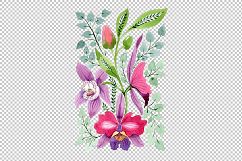 Floral Ornament of Orchid Flowers PNG set Product Image 2