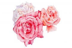 Hand Painted WATERCOLOR FLOWERS | Clip art | PNG/JPEG Product Image 4
