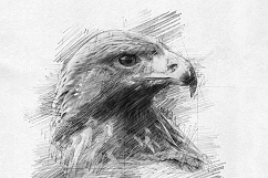 Pencil Sketch Art Photoshop Action Product Image 7
