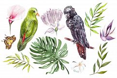 Hand Drawn Watercolor Tropic 3 Product Image 3
