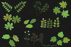 Green leaves clipart set, Spring foliage greenery Product Image 3