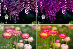 Spring Lr Presets Product Image 5