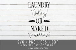 Laundry Today or Naked Tomorrow Laundry Room Sign SVG Product Image 1