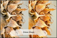 Incredible Flowers Profiles LR7.3 ACR10.3 Product Image 21