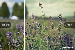Matte &amp; Pastel Lightroom Presets Product Image 3