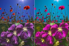 Summer Lr Presets Product Image 3