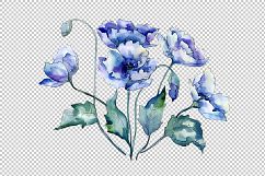 Bouquet of blue poppies PNG watercolor set Product Image 2