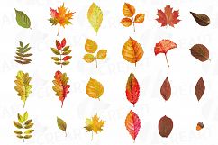 Autumn leafs watercolor clip art pack, watercolor fall frame Product Image 23