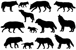 Silhouettes of wolves and wolf-cubs Product Image 1