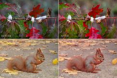 Autumn Lr Presets Product Image 3