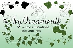 Ivy Vector Illustrations Product Image 1