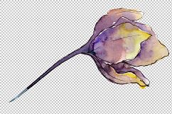 White tulips PNG watercolor flower set Product Image 3