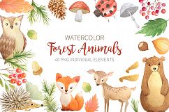 Watercolor Forest Animals Product Image 1