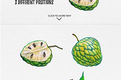 watercolor fruits vol. 6 Product Image 4