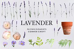 Lavender clipart, isolated lavender graphic Product Image 7