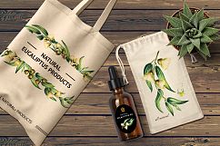 Eucalyptus. Watercolor collection Product Image 6