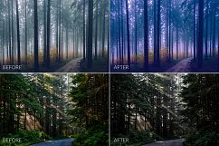 Dark Forest Lr Presets Product Image 8