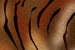 Tiger Abstract Background Product Image 13