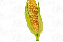 Watercolor Vegetables clip art pack, green and colorful vegetables. Healthy Food, eps png, jpg, svg, vector files included, instant download Product Image 6