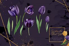 Wonderful black tulips PNG watercolor flower set Product Image 7