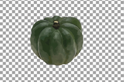 Watercolor pumpkin clip art pack, Pumpkin plant and flowers Product Image 15