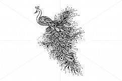 Peacock - Handmade Ink Graphics Product Image 2