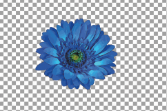 Watercolor Gerbera Daisy clip art pack, colorful gerbers Product Image 5