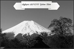 AGFA B&amp;W Films Profiles LR 7.3 ACR 10.3 Product Image 9